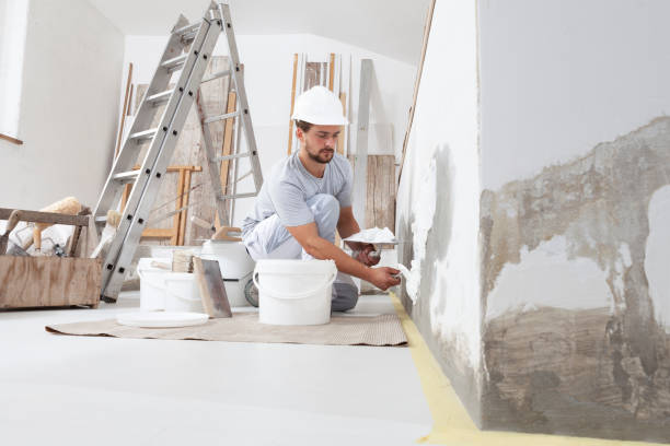 Best Drywall Sanding and Smoothing  in Laurel, DE